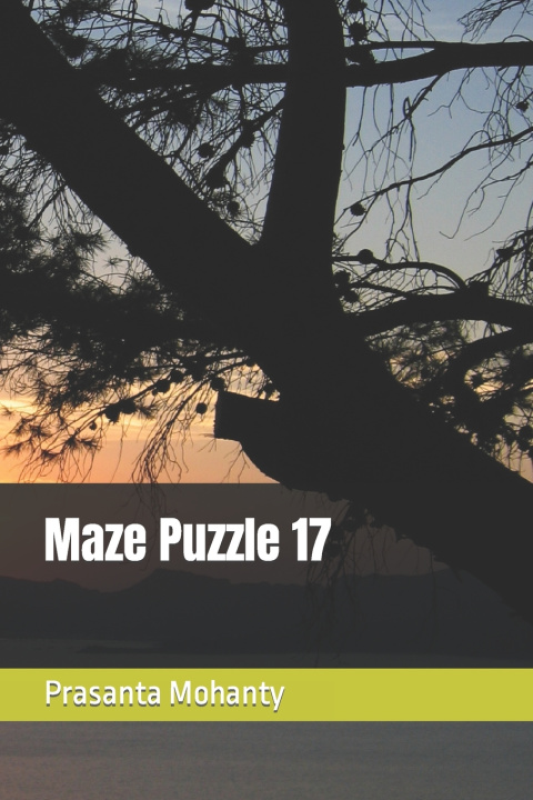 Kniha Maze Puzzle 17 Prasanta Mohanty