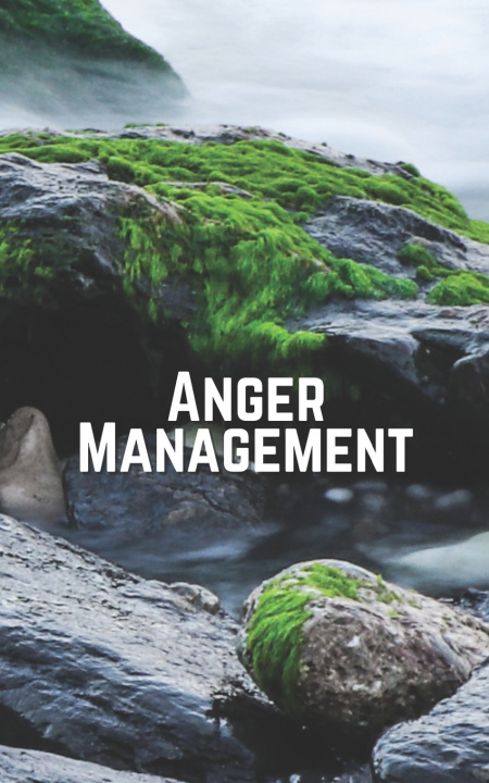 Book Anger Management Recipe Log