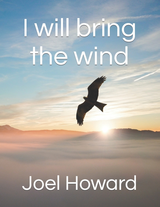Kniha I will bring the wind Joel Howard
