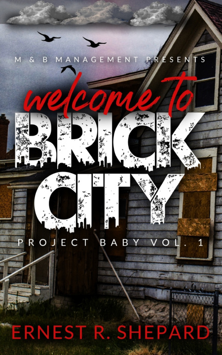 Kniha Brick City Ernest R Shepard
