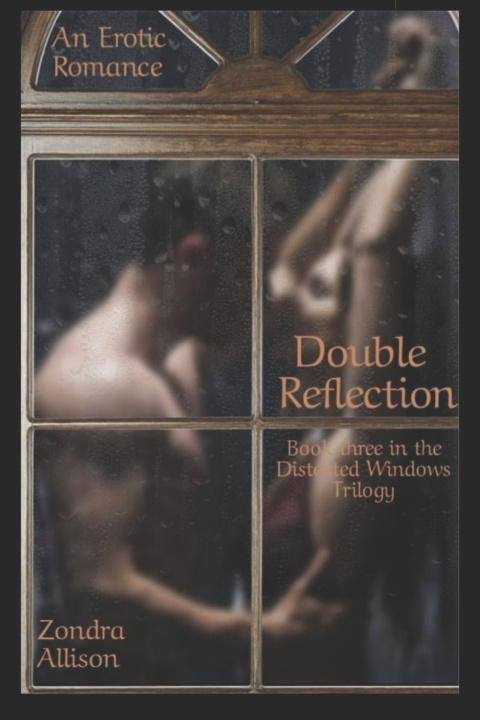 Book Double Reflection Zondra Allison