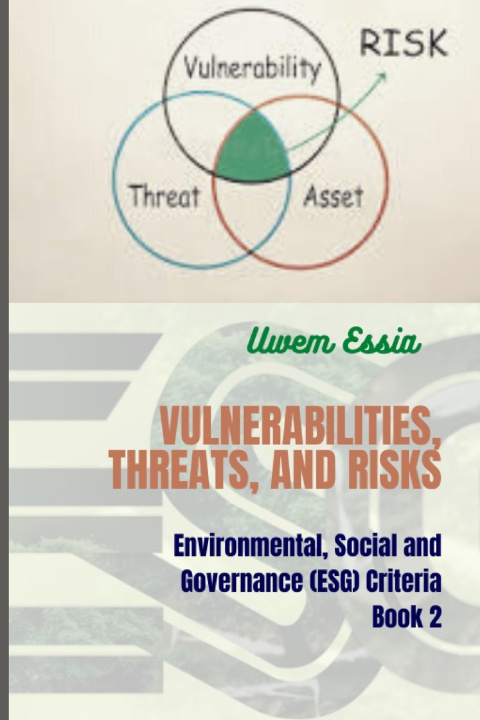 Kniha VULNERABILITIES, THREATS, AND RISKS Uwem Essia