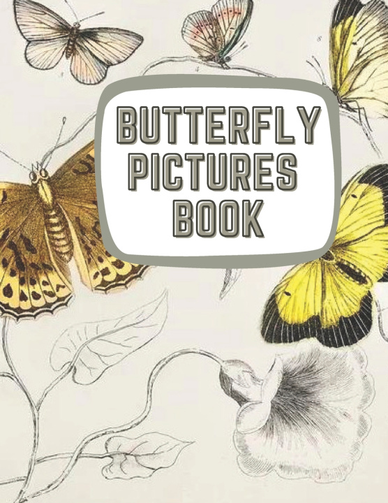 Kniha Learning About Butterflies B&M Publication