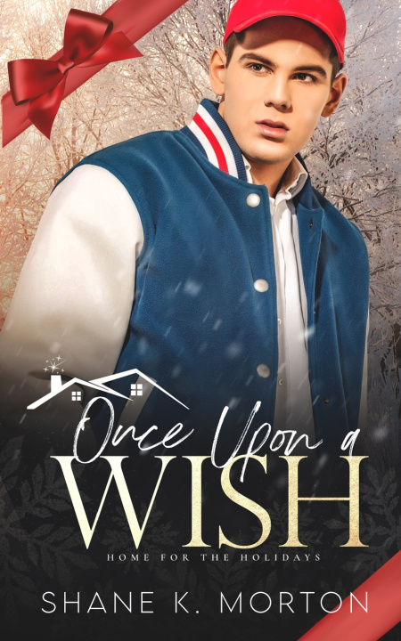 Book Once Upon A Wish Shane Morton