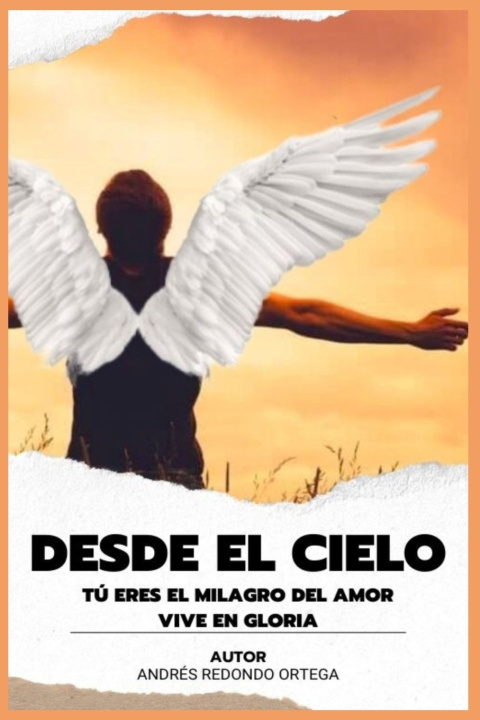 Knjiga DESDE EL CIELO ANDRES REDONDO ORTEGA