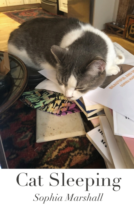 Book Cat Sleeping Sophia Marshall