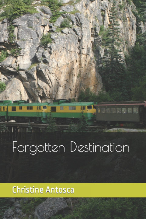 Book Forgotten Destination Christine Antosca