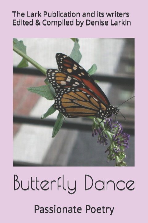 Kniha Butterfly Dance Denise Larkin