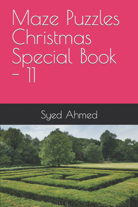 Książka Maze Puzzles Christmas Special Book - 11 Syed Ahmed
