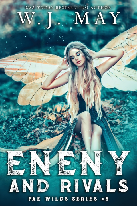 Knjiga Enemy and Rivals W. J. May