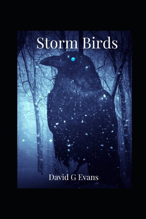 Книга Storm Birds David G Evans