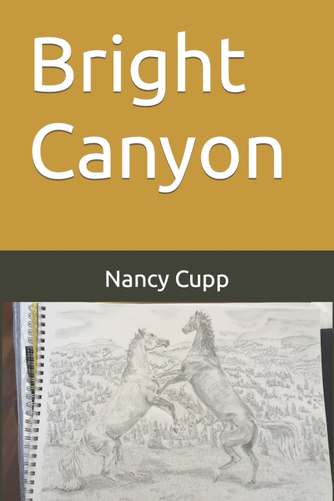 Buch Bright Canyon Nancy Cupp
