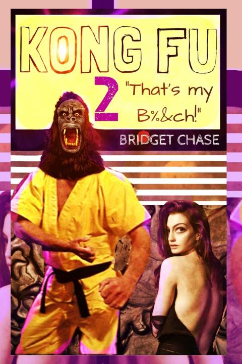 Book Kong Fu 2 Bridget Chase