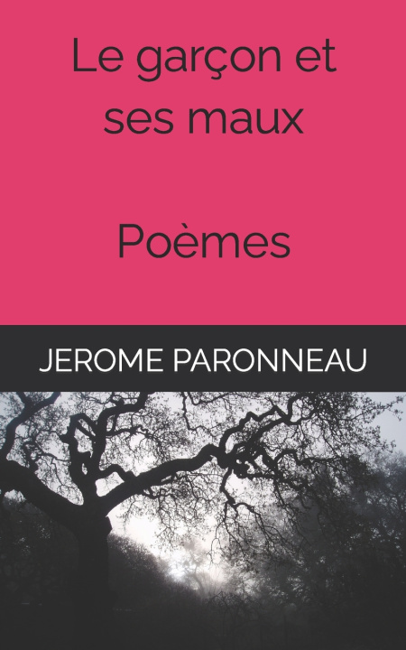 Kniha Le garçon et ses maux Jérôme Paronneau