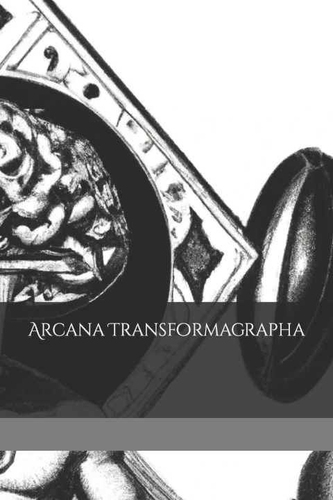 Book Arcana Transformagrapha Benjamin Zimmerman Ph.D.