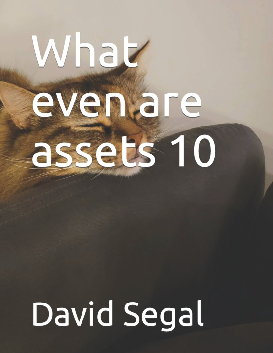 Книга What even are assets 10 David Segal