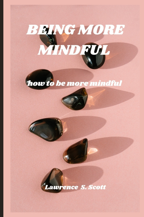 Book BEING MORE MINDFUL Lawrence S. Scott