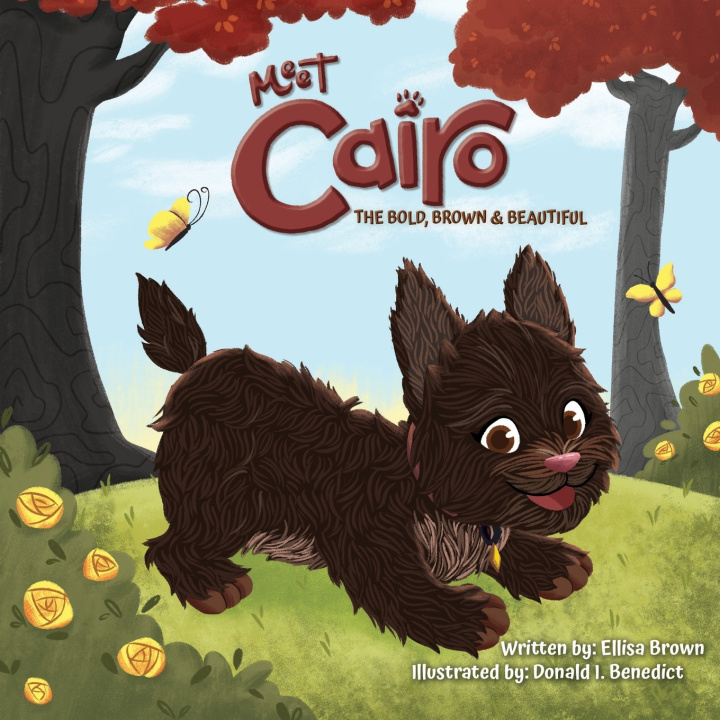 Knjiga Meet Cairo Ellisa Brown
