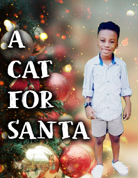 Kniha A Cat for Santa Daniel D Warren