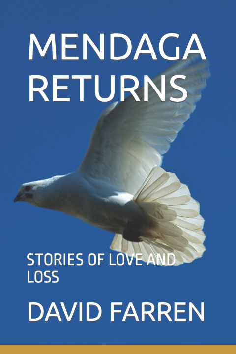 Book MENDAGA RETURNS DAVID FARREN