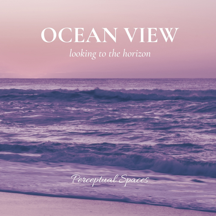 Kniha Ocean View Perceptual Spaces
