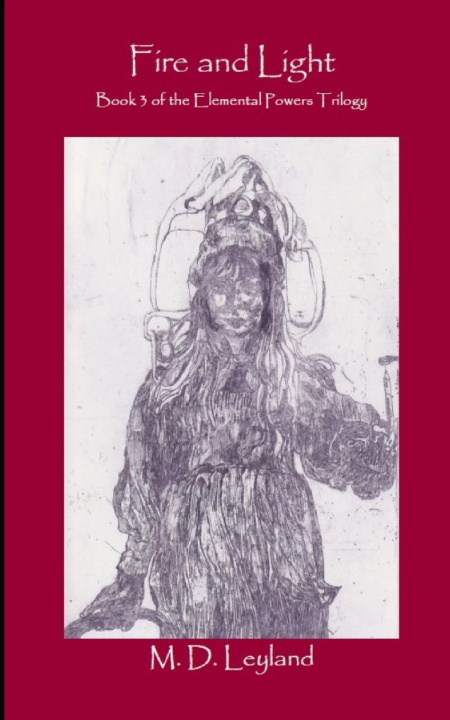 Book Fire and Light M D Leyland