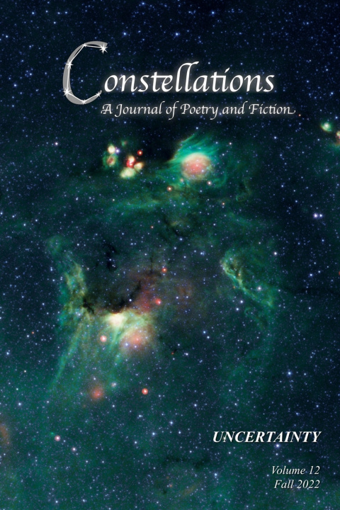 Book Constellations Nina Rubinstein Alonso