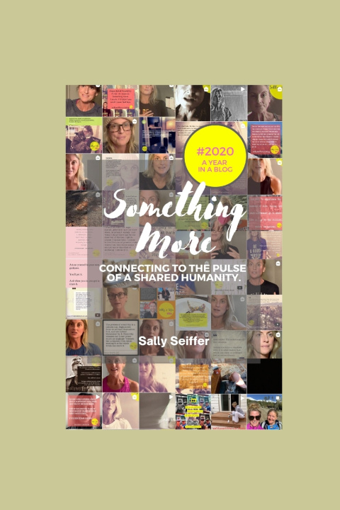 Kniha Something More. Sally Seiffer