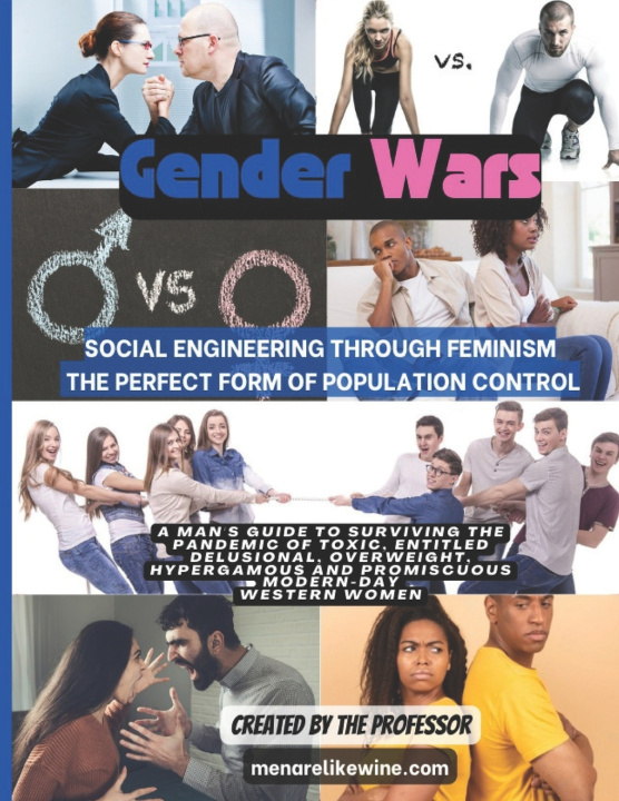Knjiga Gender Wars The Professor
