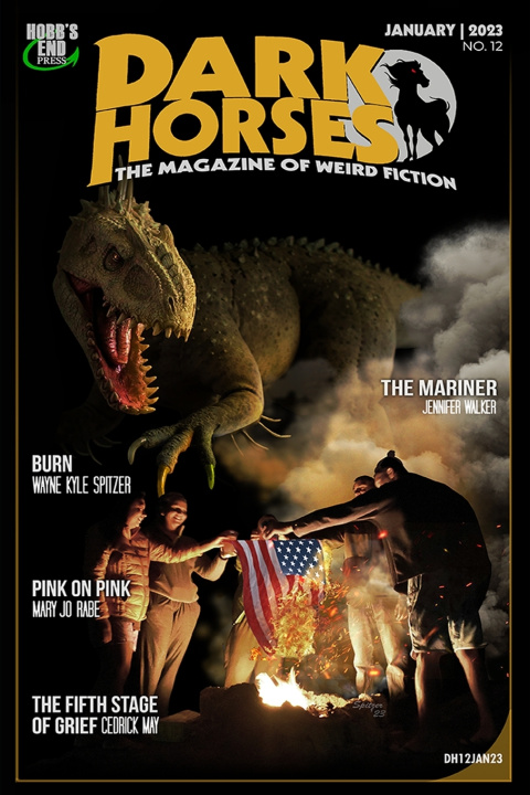 Buch Dark Horses Brad Petit