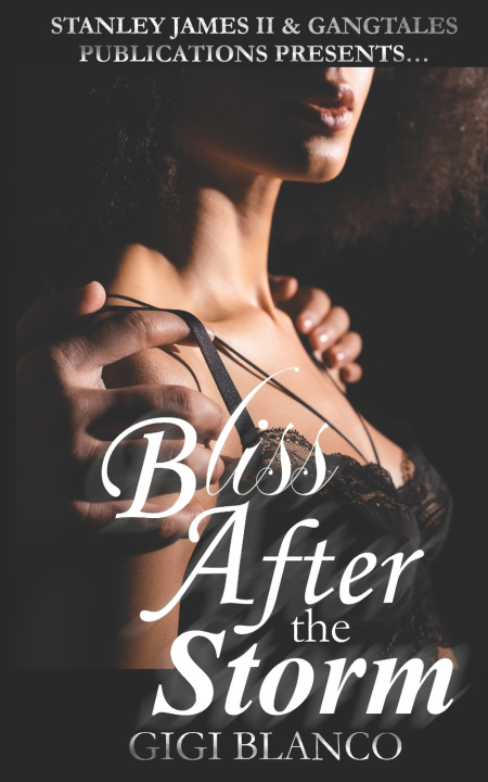 Kniha Bliss After the Storm Gigi Blanco