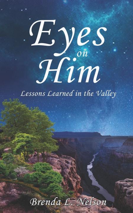 Book Eyes on Him Brenda L Nelson