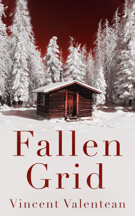 Kniha Fallen Grid Vincent Valentean