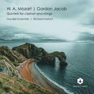 Audio Quintets for Clarinet & Strings 