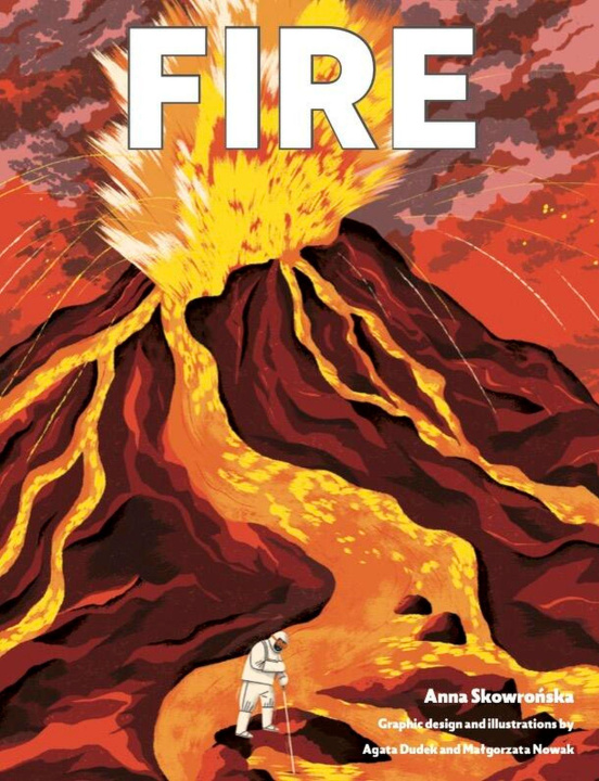 Kniha Fire Anna Skowronska