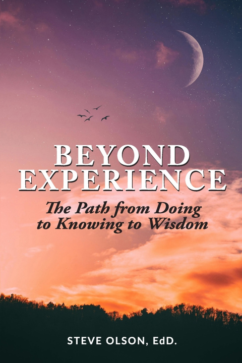 Kniha Beyond Experience Steve Olson