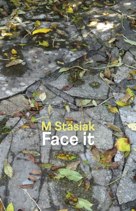 Kniha Face it M Stasiak