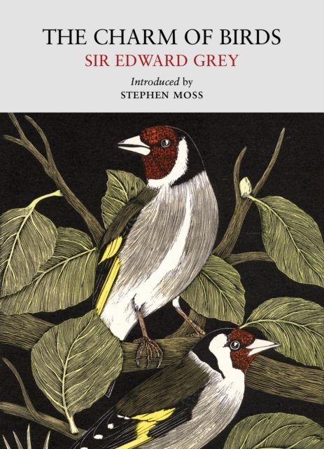 Książka Charm of Birds Edward Grey