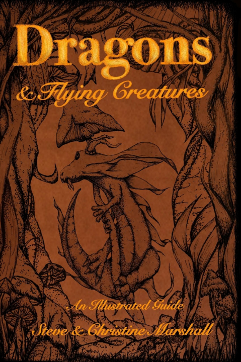 Boek Dragons and Flying Creatures Christine Marshall