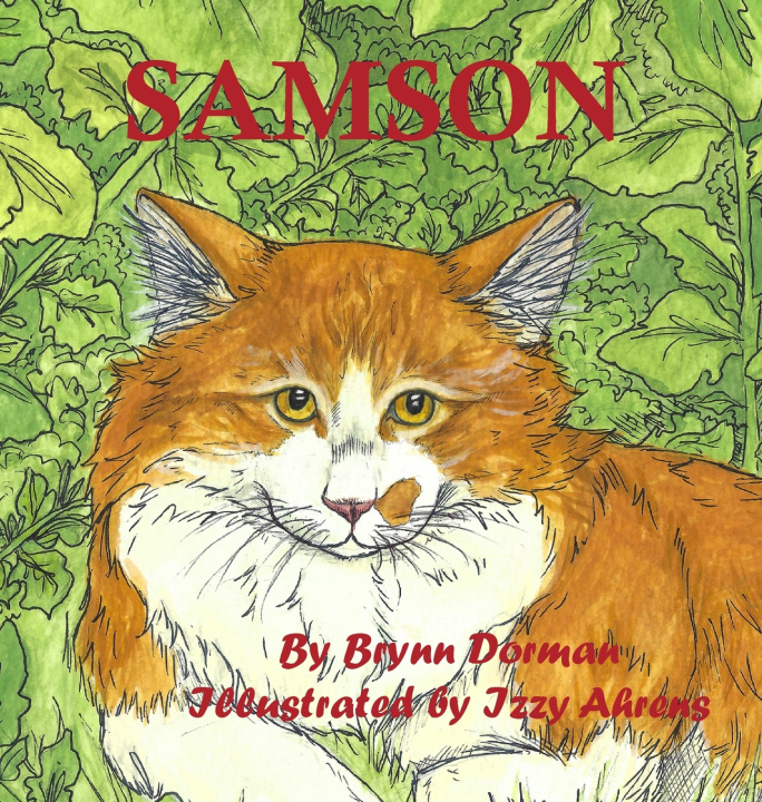 Kniha Samson Brynn Dorman