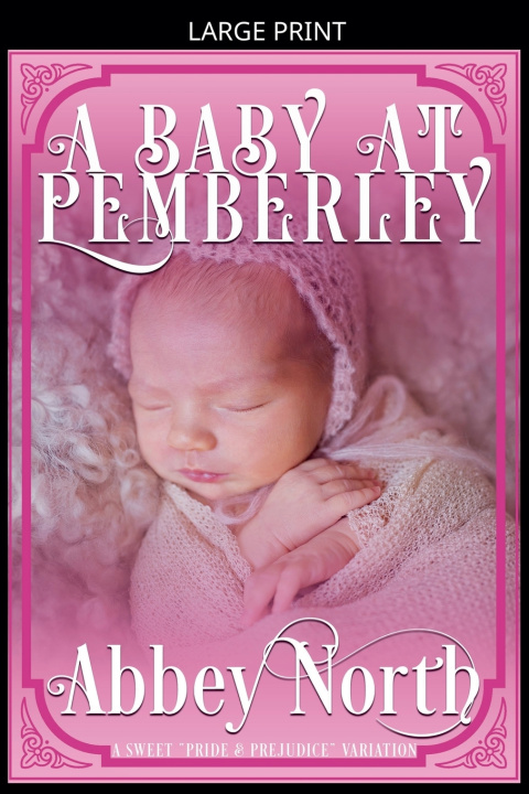 Knjiga A Baby At Pemberley Abbey North