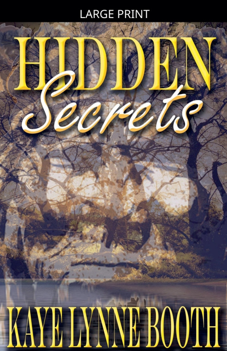 Kniha Hidden Secrets Kaye Lynne Booth