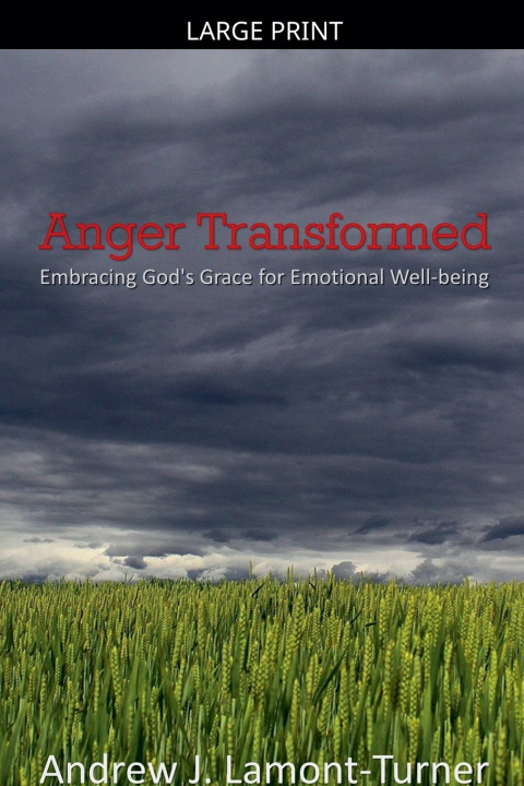 Book Anger Transformed Andrew J. Lamont-Turner