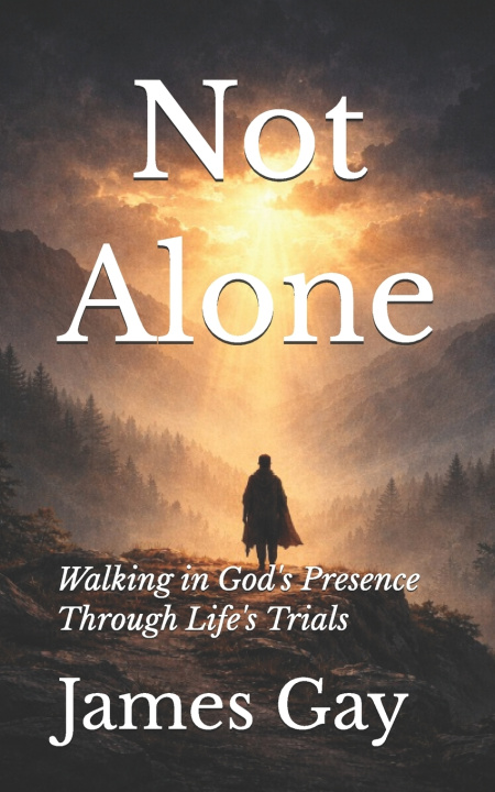 Kniha Not Alone James E. Gay