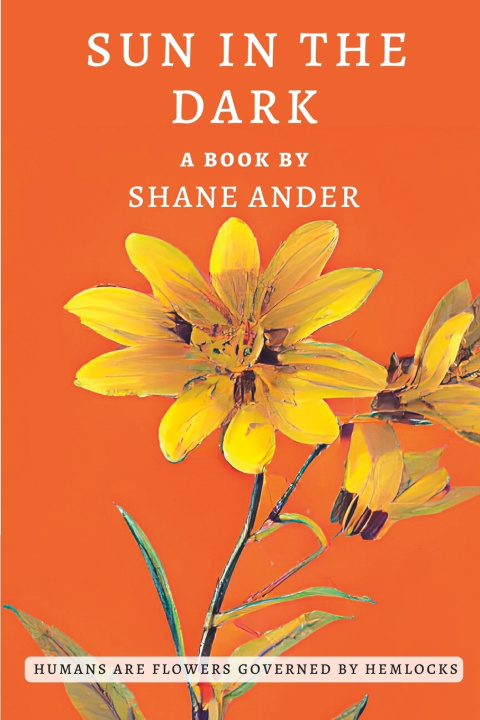 Book SUN IN THE DARK Shane Ander