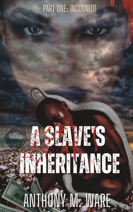 Knjiga A Slave's Inheritance Anthony M. Ware
