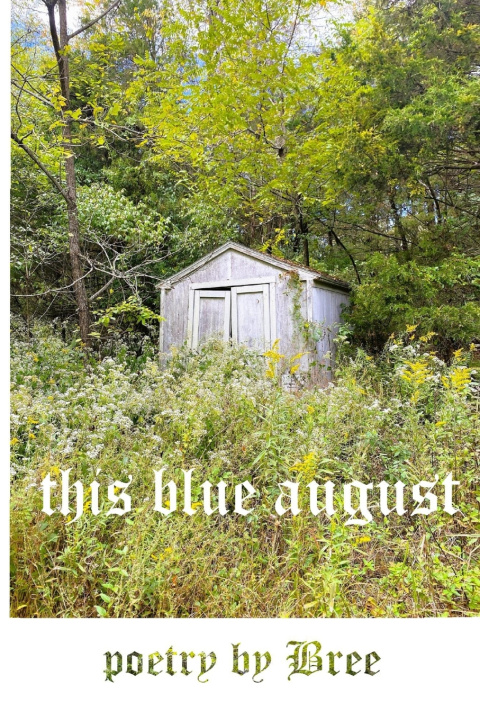Book This Blue August Green Panda Press Bree