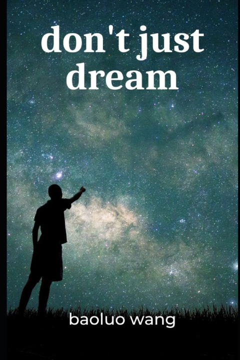 Книга don't just dream baoluo wang