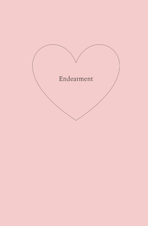 Kniha endearment Haydn K