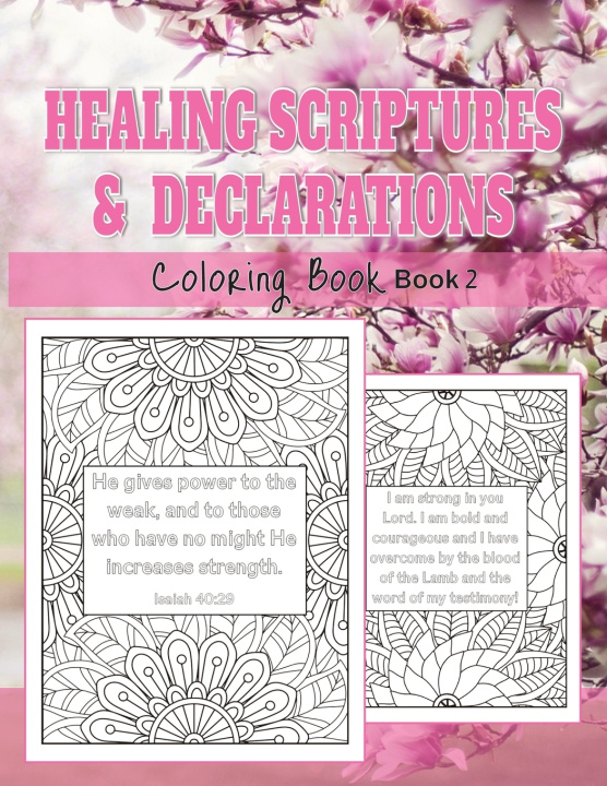 Kniha Healing Scriptures & Declarations (Book 2) Teri M. Bethel